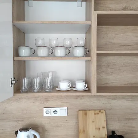 X06 公寓 米库洛夫